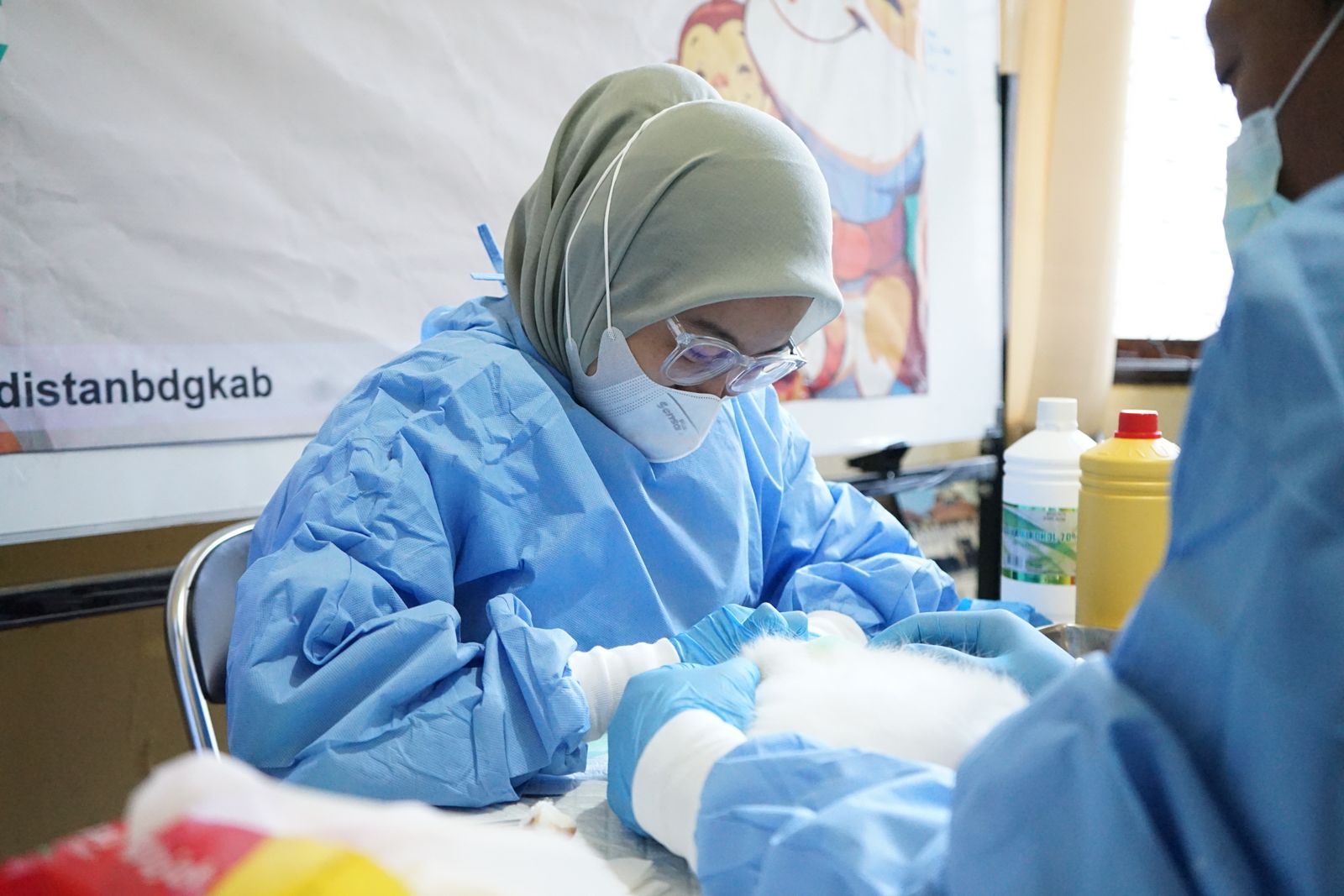 2029 Kabupaten Bandung Targetkan Bebas Rabies